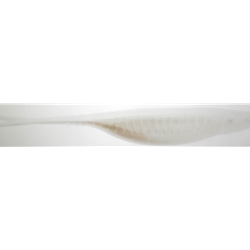 BASS ASSASSIN VSA60108 5" VAPOR SHAD- ALEWIFE