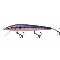 SMITHWICK  ASDRB13193 PRO ROGUE-TEQUILA