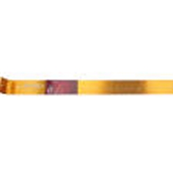 BAAMB FISH BERKLEY GOLDEN FISH RULER