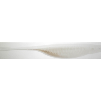 BASS ASSASSIN VSA60108 5" VAPOR SHAD- ALEWIFE
