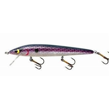SMITHWICK  ASDRB13193 PRO ROGUE-TEQUILA