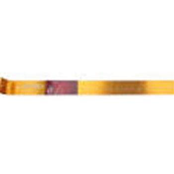 BAAMB FISH BERKLEY GOLDEN FISH RULER